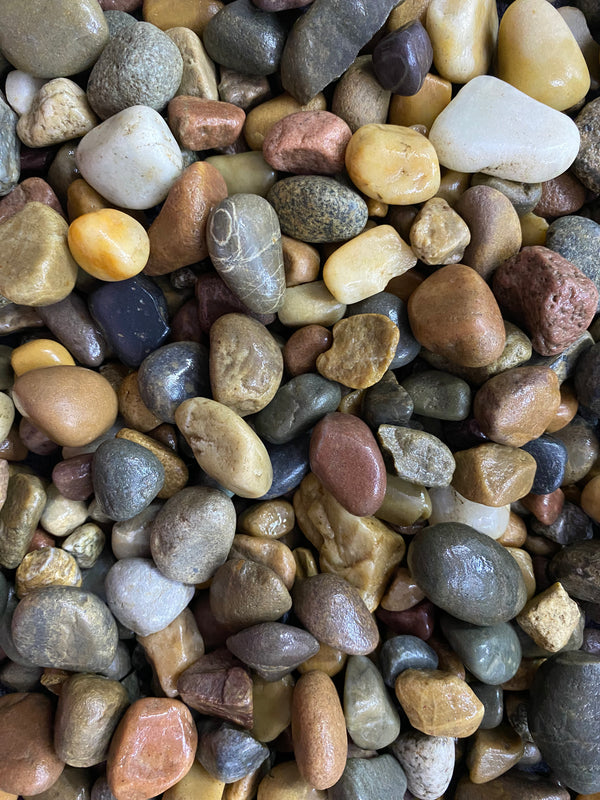 Maya Jungle Trail Gravel – 25mm-30mm Decorative Hardscape
