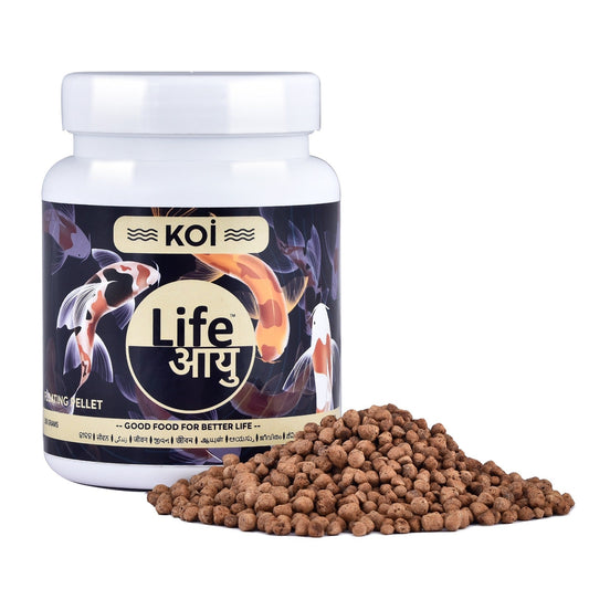 Life Aayu Koi Regular Fish Food – Ayurvedic Floating Pellet for Indian Koi Breeds | Growth & Color Enhancer |