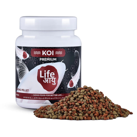 Life Aayu Koi Premium Fish Food – Ayurvedic Floating Pellet for Japanese Koi Breeds | Growth & Color Enhancer (Starter Kit)