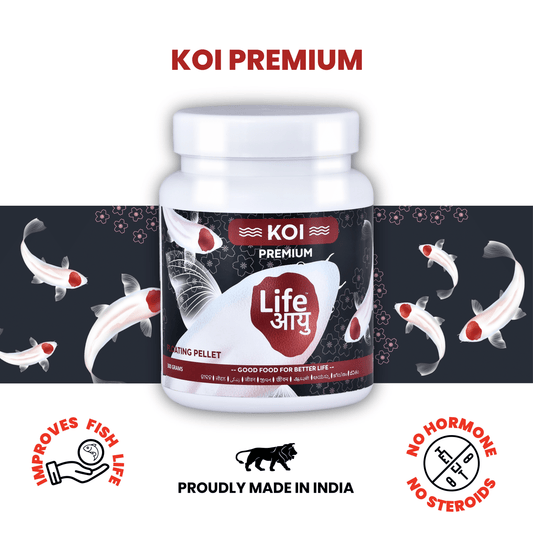 Life Aayu Koi Premium Fish Food – Ayurvedic Floating Pellet for Japanese Koi Breeds | Growth & Color Enhancer
