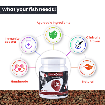 Life Aayu Koi Premium Fish Food – Ayurvedic Floating Pellet for Japanese Koi Breeds | Growth & Color Enhancer