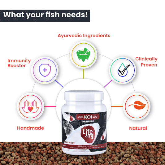 Life AAYUH Koi Premium Fish Food | Floating Micro Pellets for Japanese Koi | Supports Growth, Color Enhancement & Immunity