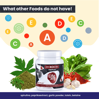 Life Aayu Koi Premium Fish Food – Ayurvedic Floating Pellet for Japanese Koi Breeds | Growth & Color Enhancer