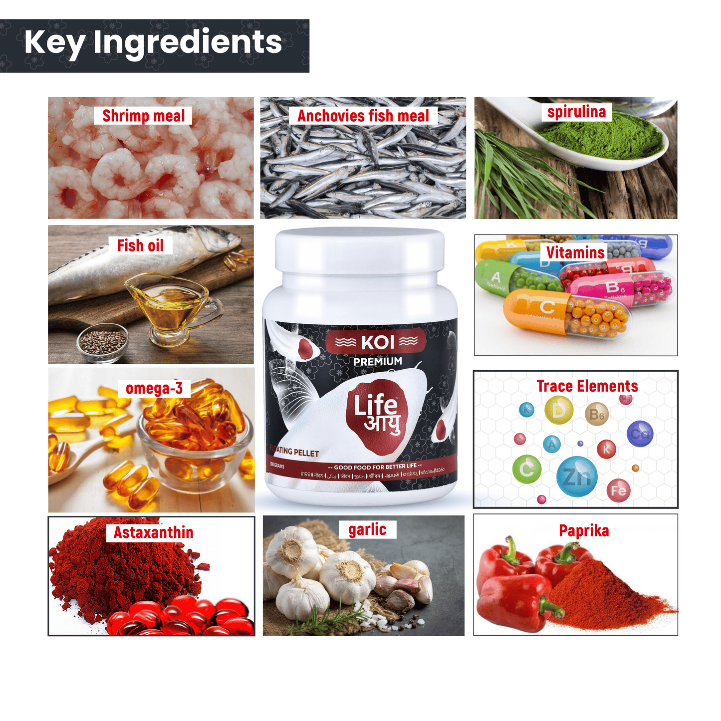 Life Aayu Koi Premium Fish Food – Ayurvedic Floating Pellet for Japanese Koi Breeds | Growth & Color Enhancer