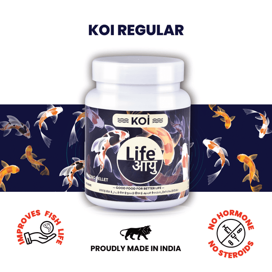 Life Aayu Koi Regular Fish Food – Ayurvedic Floating Pellet for Indian Koi Breeds | Growth & Color Enhancer |