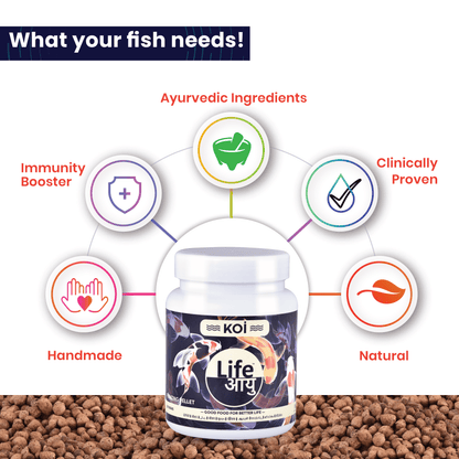 Life Aayu Koi Regular Fish Food – Ayurvedic Floating Pellet for Indian Koi Breeds | Growth & Color Enhancer |