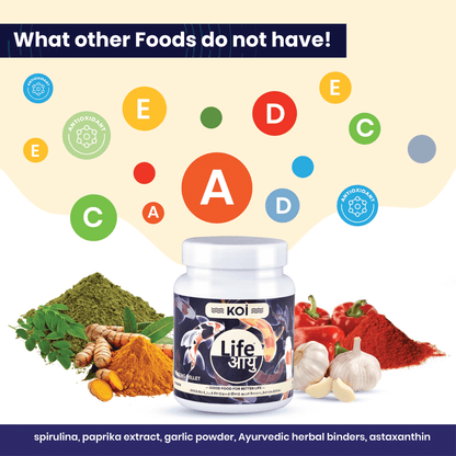 Life Aayu Koi Regular Fish Food – Ayurvedic Floating Pellet for Indian Koi Breeds | Growth & Color Enhancer |