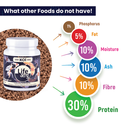 Life Aayu Koi Regular Fish Food – Ayurvedic Floating Pellet for Indian Koi Breeds | Growth & Color Enhancer |