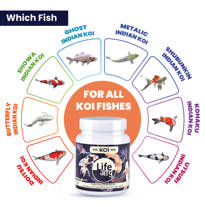 Life Aayu Koi Regular Fish Food – Ayurvedic Floating Pellet for Indian Koi Breeds | Growth & Color Enhancer |