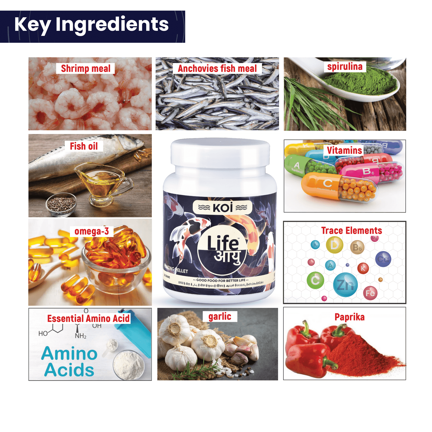 Life Aayu Koi Regular Fish Food – Ayurvedic Floating Pellet for Indian Koi Breeds | Growth & Color Enhancer |