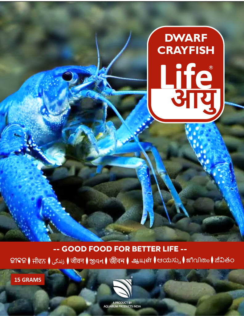 Life Aayu Dwarf Crayfish Blue - 15gm (front cover)