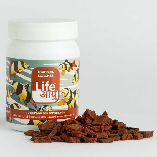 Life Aayu Tropical Loaches Fish Food – 45g | Immunity Boost, High Protein, Humic-Enriched Diet