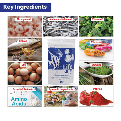Life AAYU Neutral Fish Food – Ayurvedic Daily Diet for All Fish Sizes | For Newborn, Juvenile & Adult Fish