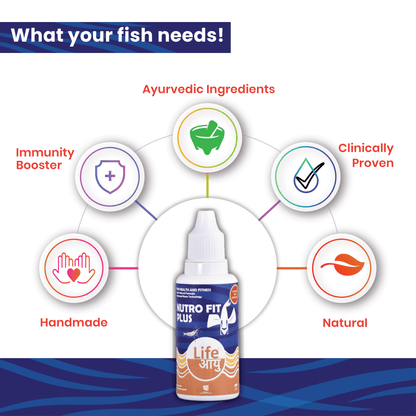 Life Aayu Nutro Fit Plus - Best Fish Food Supplement