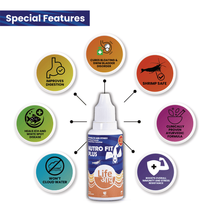 Life Aayu Nutro Fit Plus - Best Fish Food Supplement