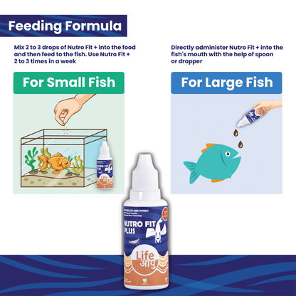 Life Aayu Nutro Fit Plus - Best Fish Food Supplement