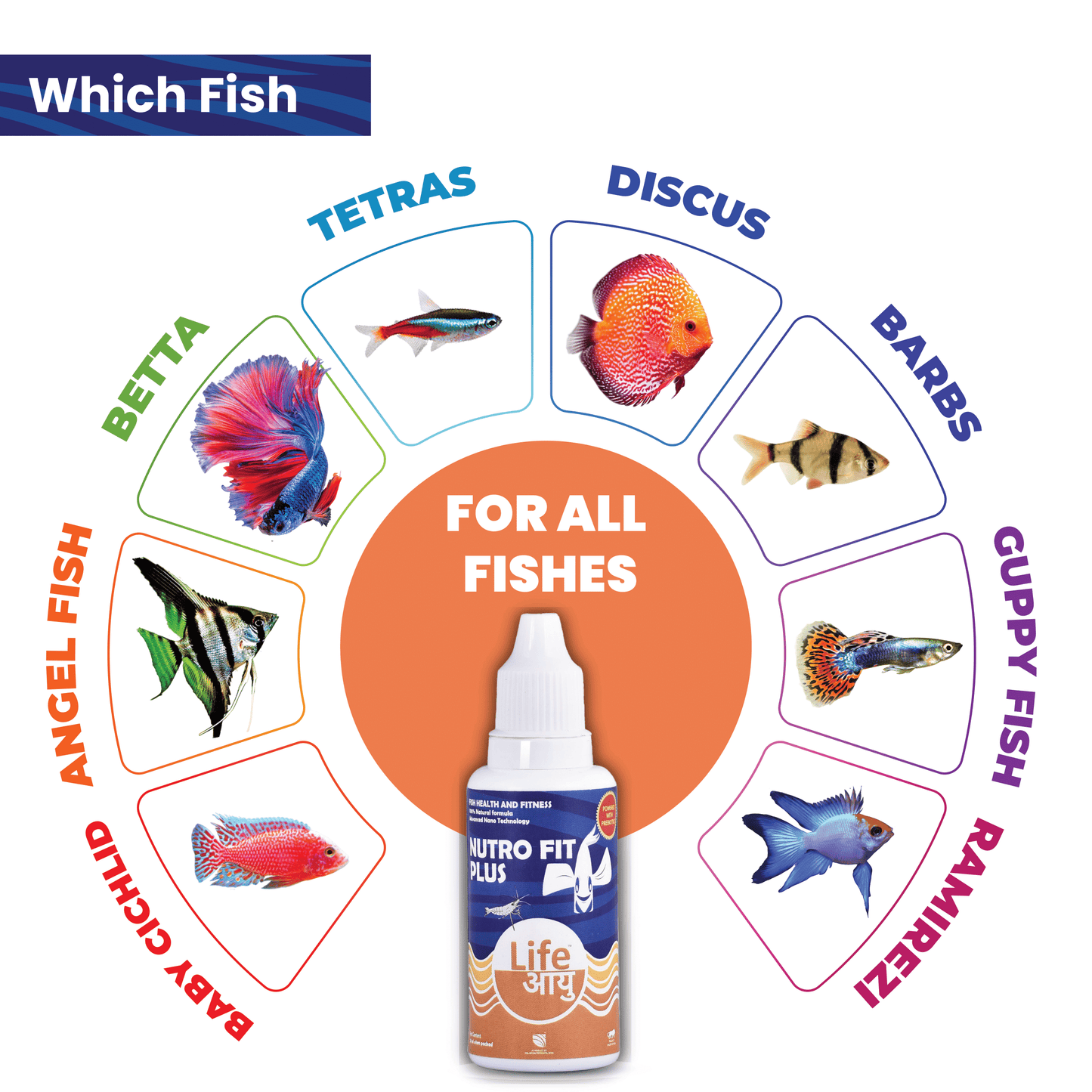 Life Aayu Nutro Fit Plus - Best Fish Food Supplement