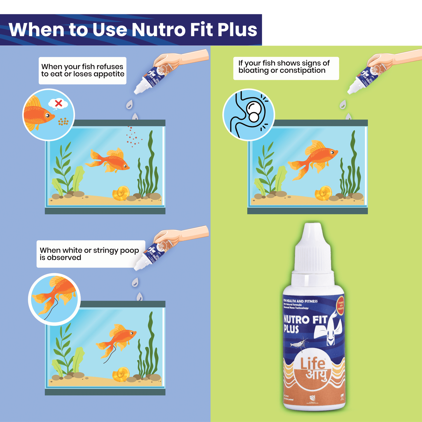 Life Aayu Nutro Fit Plus - Best Fish Food Supplement