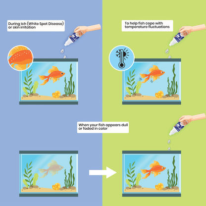 Life Aayu Nutro Fit Plus - Best Fish Food Supplement