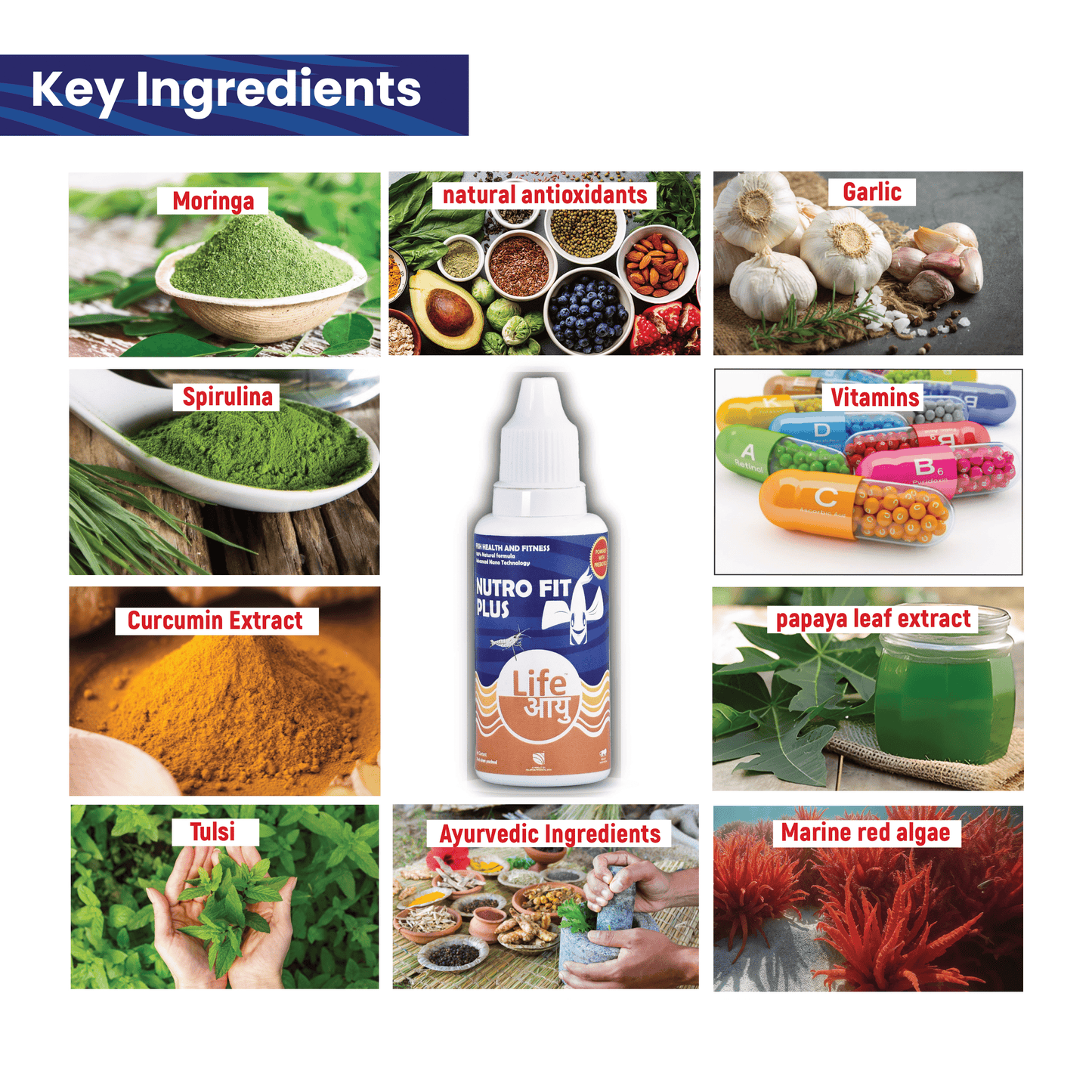 Life Aayu Nutro Fit Plus - Best Fish Food Supplement