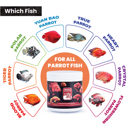 Life AAYU Parrot Premium Fish Food – Color Enhancing & Immunity-Boosting Natural Pellets with Spirulina & Omega-3