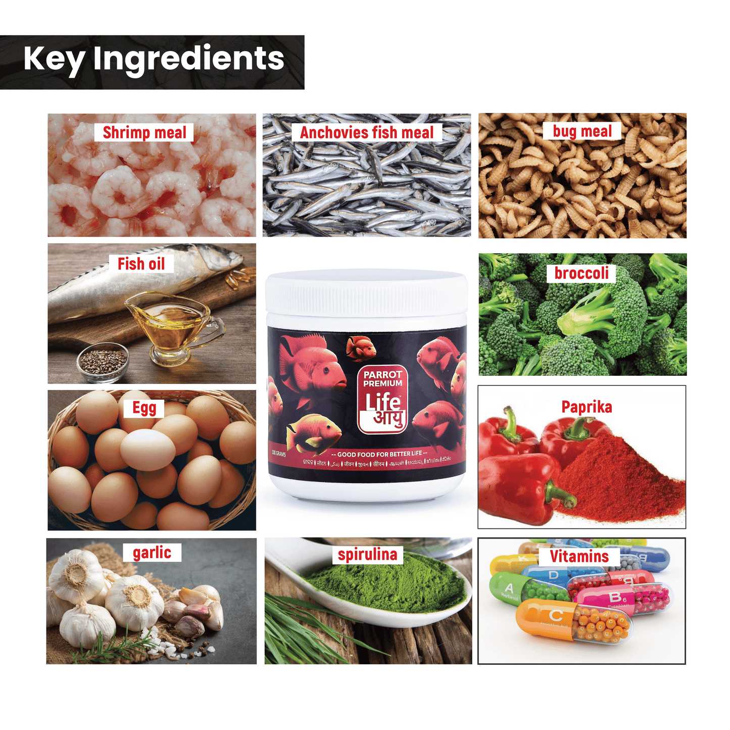 Life AAYU Parrot Premium Fish Food – Color Enhancing & Immunity-Boosting Natural Pellets with Spirulina & Omega-3