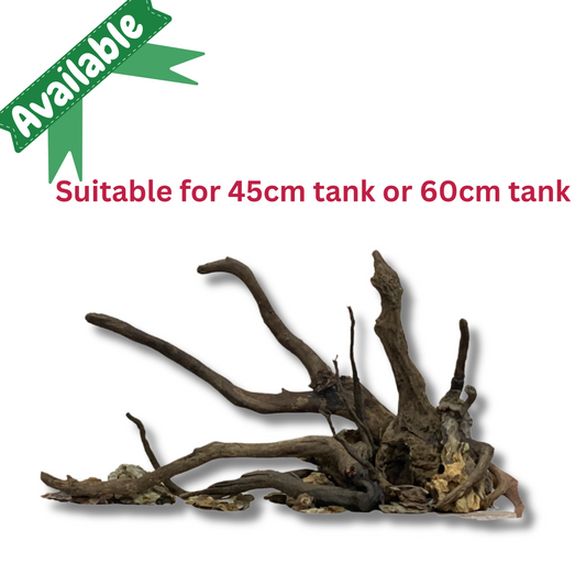 Ready-to-Use Driftwood Aquascape Setup - For 45cm or 65 Aquarium Tank (Additional Shipping charges will be applicable)