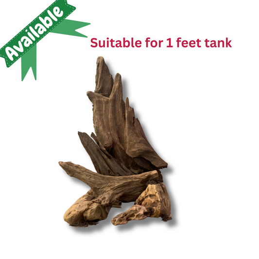 Ready-to-Use Driftwood Aquascape Setup – For 1 ft Aquarium Tank (Additional Shipping charges will be applicable)