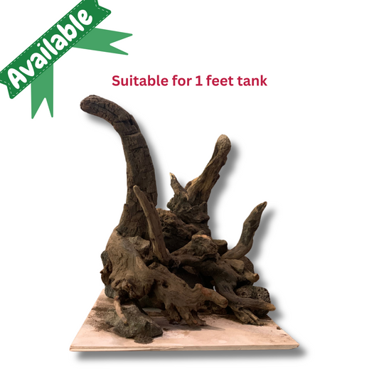 Ready-to-Use Driftwood Aquascape Setup – For 1 ft Aquarium Tank (Additional Shipping charges will be applicable)