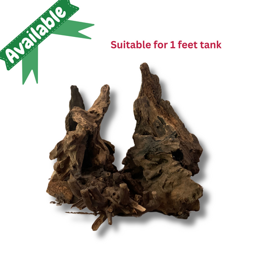 Ready-to-Use Driftwood Aquascape Setup – For 1 ft Aquarium Tank (Additional Shipping charges will be applicable)