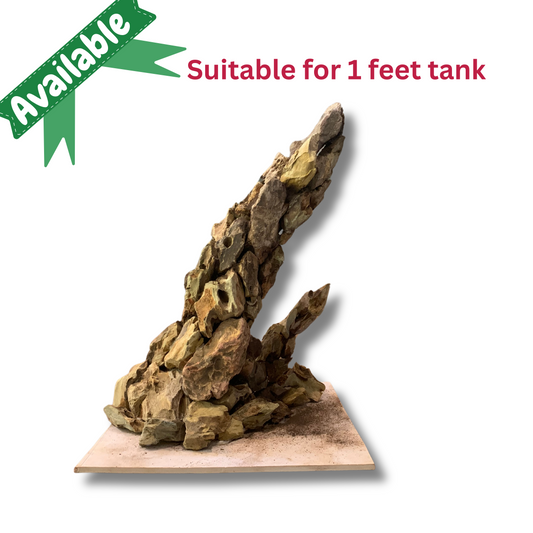 Ready-to-Use Driftwood Aquascape Setup – For 1 ft Aquarium Tank (Additional Shipping charges will be applicable )