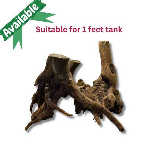 Ready-to-Use Driftwood Aquascape Setup – For 1 ft Aquarium Tank (Additional Shipping charges will be applicable)