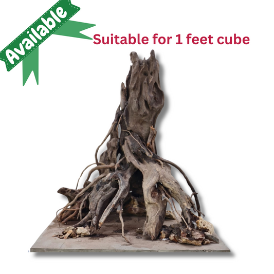 Ready-to-Use Driftwood Aquascape Setup – For 1 ft cube Aquarium Tank (Additional Shipping charges will be applicable)