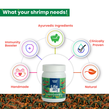 Life Aayu Shrimp Regular Food 30g