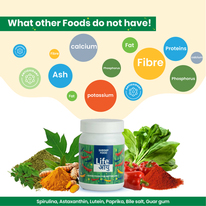 Life Aayu Shrimp Regular Food 30g