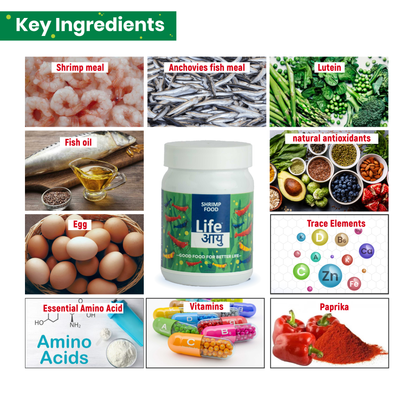 Life Aayu Shrimp Regular Food 30g