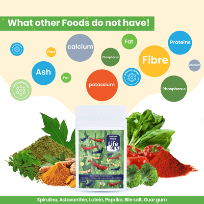 Life Aayu Shrimp Regular Food 15gm