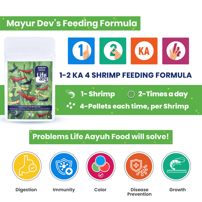 Life Aayu Shrimp Regular Food 15gm