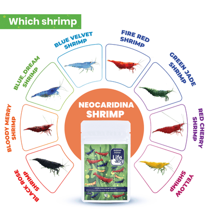 Life Aayu Shrimp Regular Food 15gm