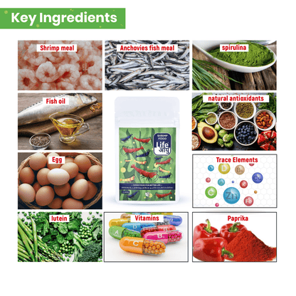 Life Aayu Shrimp Regular Food 15gm
