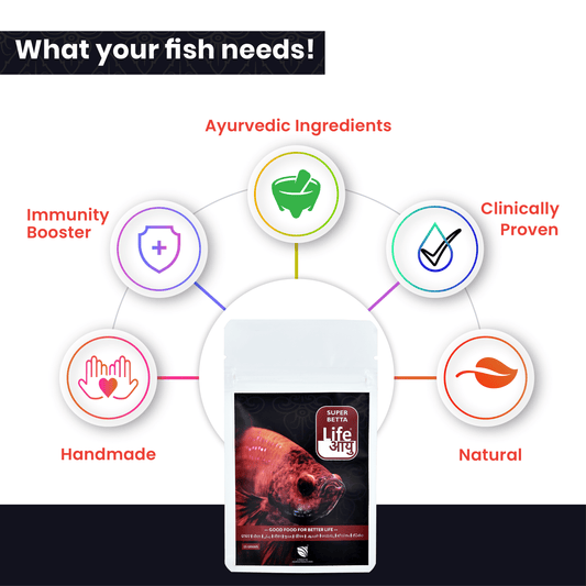 Life AAYUH Super Betta Fish Food (15g) | Betta Fish Micro Pellets | Floating Pellet Food for Color, Immunity & Vitality