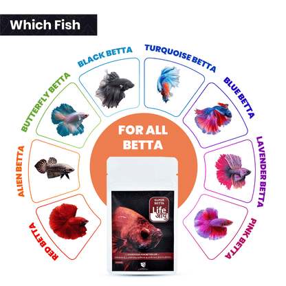 Life Aayu Super Betta - 15gm