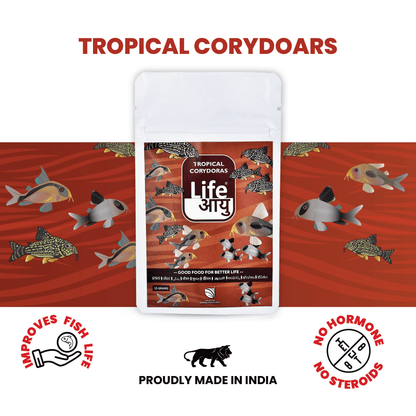Life Aayu Tropical Corydoras Fish Food 15gm