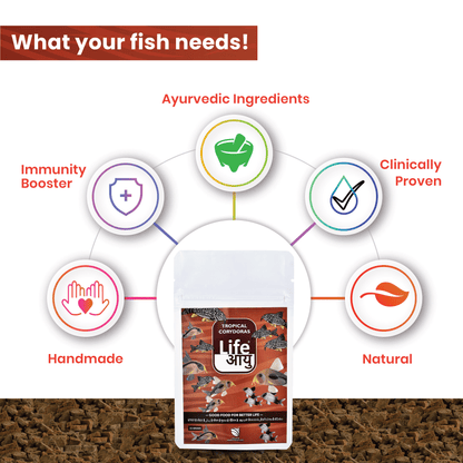 Life Aayu Tropical Corydoras Fish Food 15gm