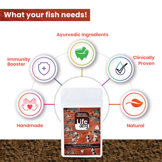 Life AAYUH Tropical Corydoras Fish Food | Sinking Micro Pellets for Cory Catfish & Corydoras | Supports Growth, Immunity & Digestion