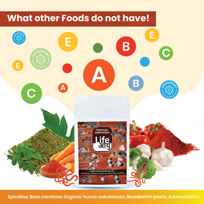 Life Aayu Tropical Corydoras Fish Food 15gm