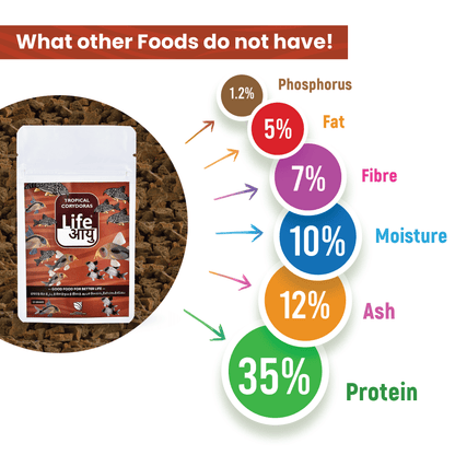 Life Aayu Tropical Corydoras Fish Food 15gm