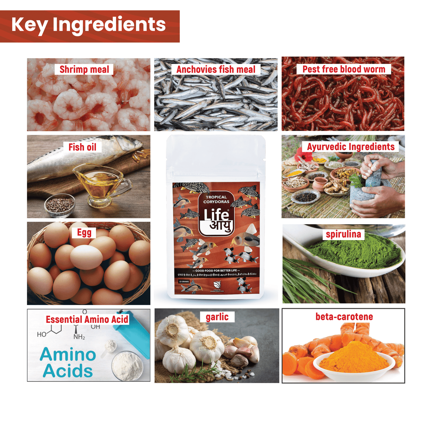 Life Aayu Tropical Corydoras Fish Food 15gm