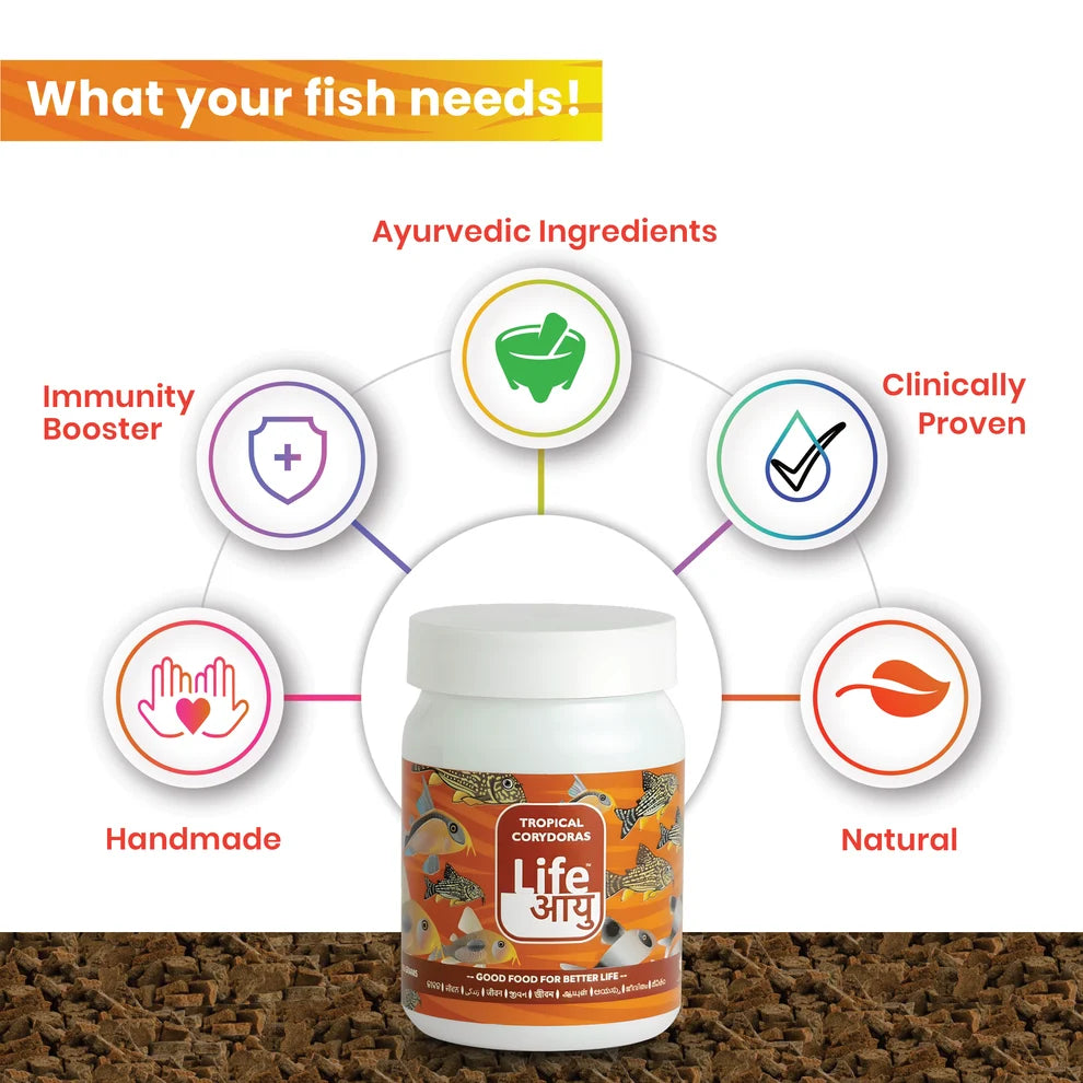 Life AAYUH Tropical Corydoras Fish Food (45g) | Sinking Micro Pellets for Corydoras, Loaches & Catfish | Supports Growth, Digestion & Immunity