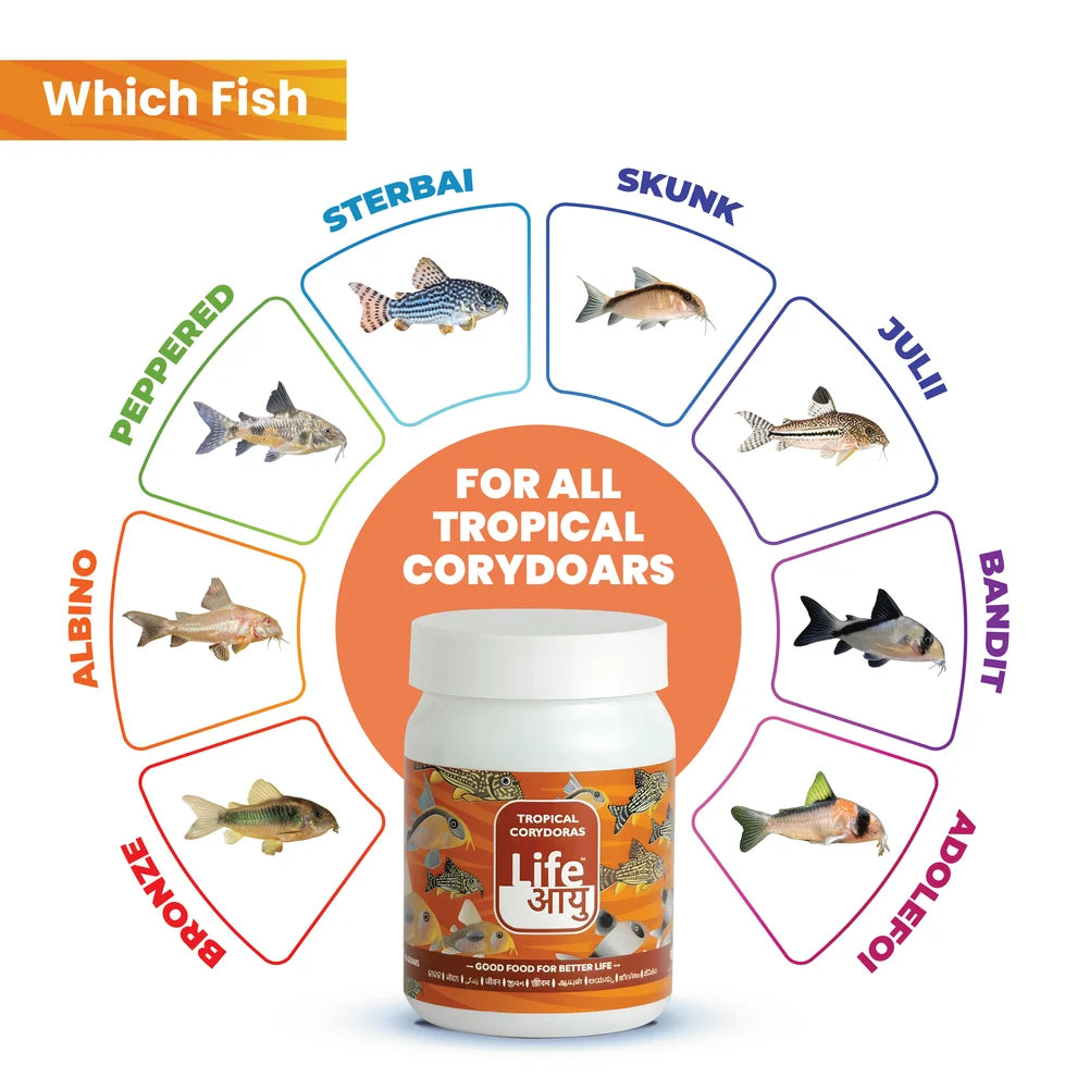 Life AAYUH Tropical Corydoras Fish Food (45g) | Sinking Micro Pellets for Corydoras, Loaches & Catfish | Supports Growth, Digestion & Immunity